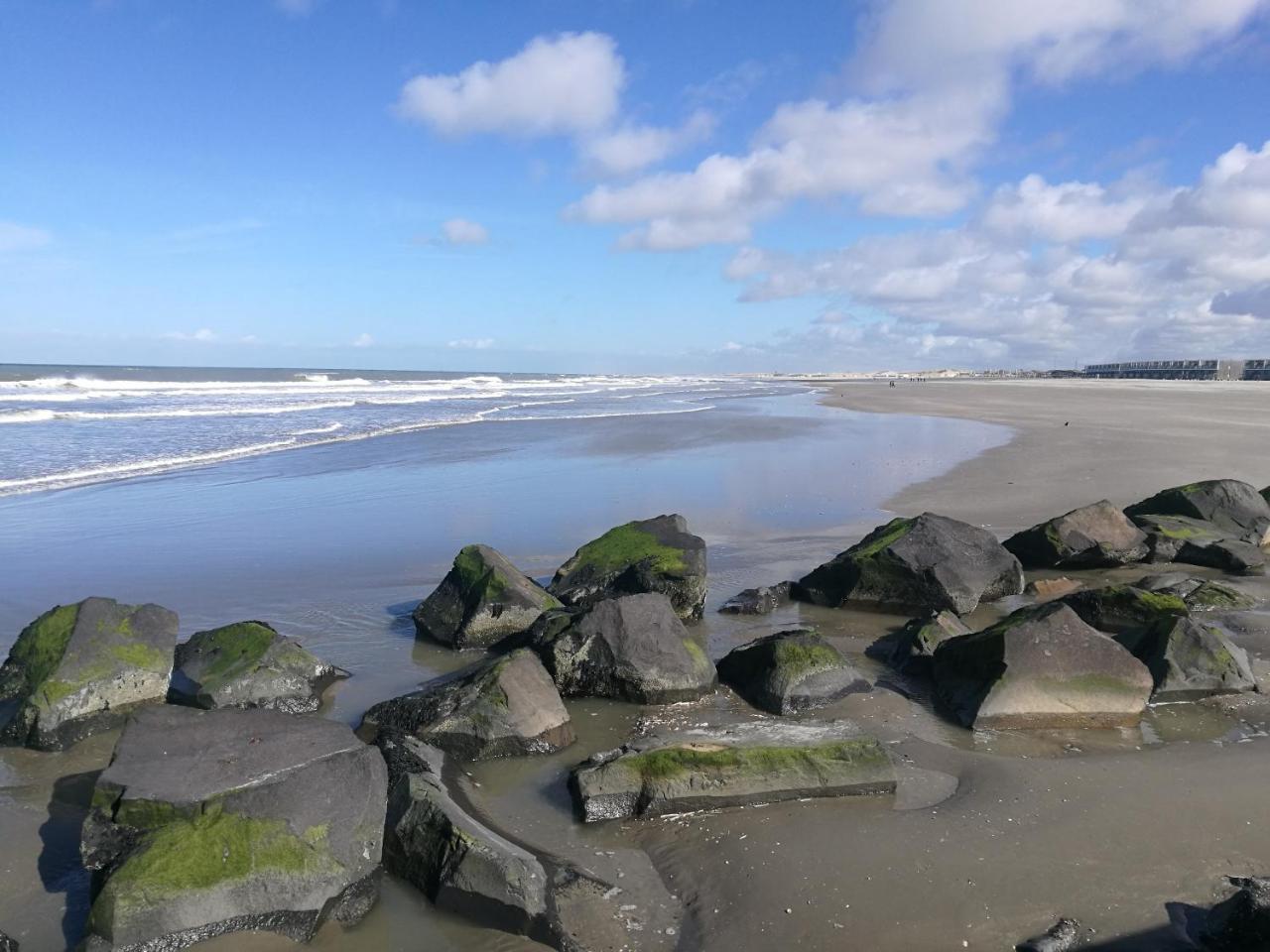 Hotel Noordzee フク・ファン・ホラント エクステリア 写真